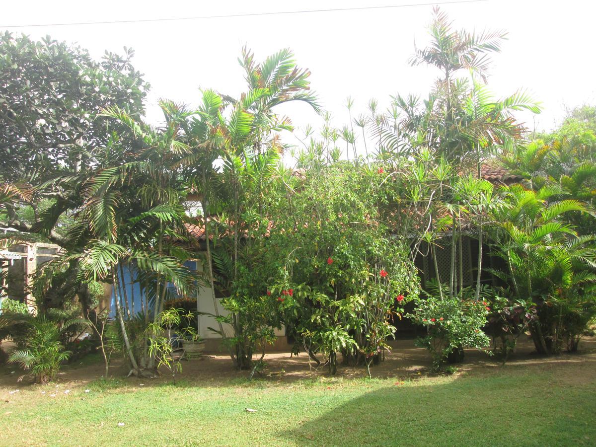 Cottage Garden Bungalows Moratuwa Kültér fotó